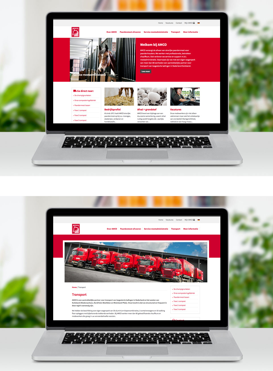 Webdesign - Amco